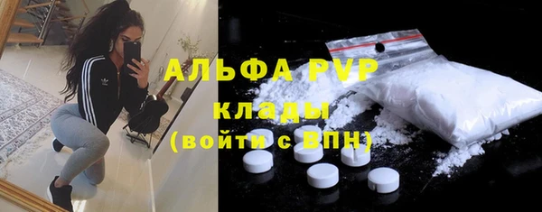 прущие грибы Богородицк