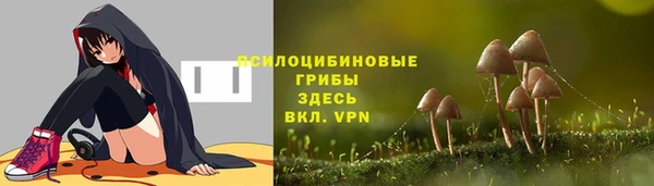 мяу мяу мука Беломорск